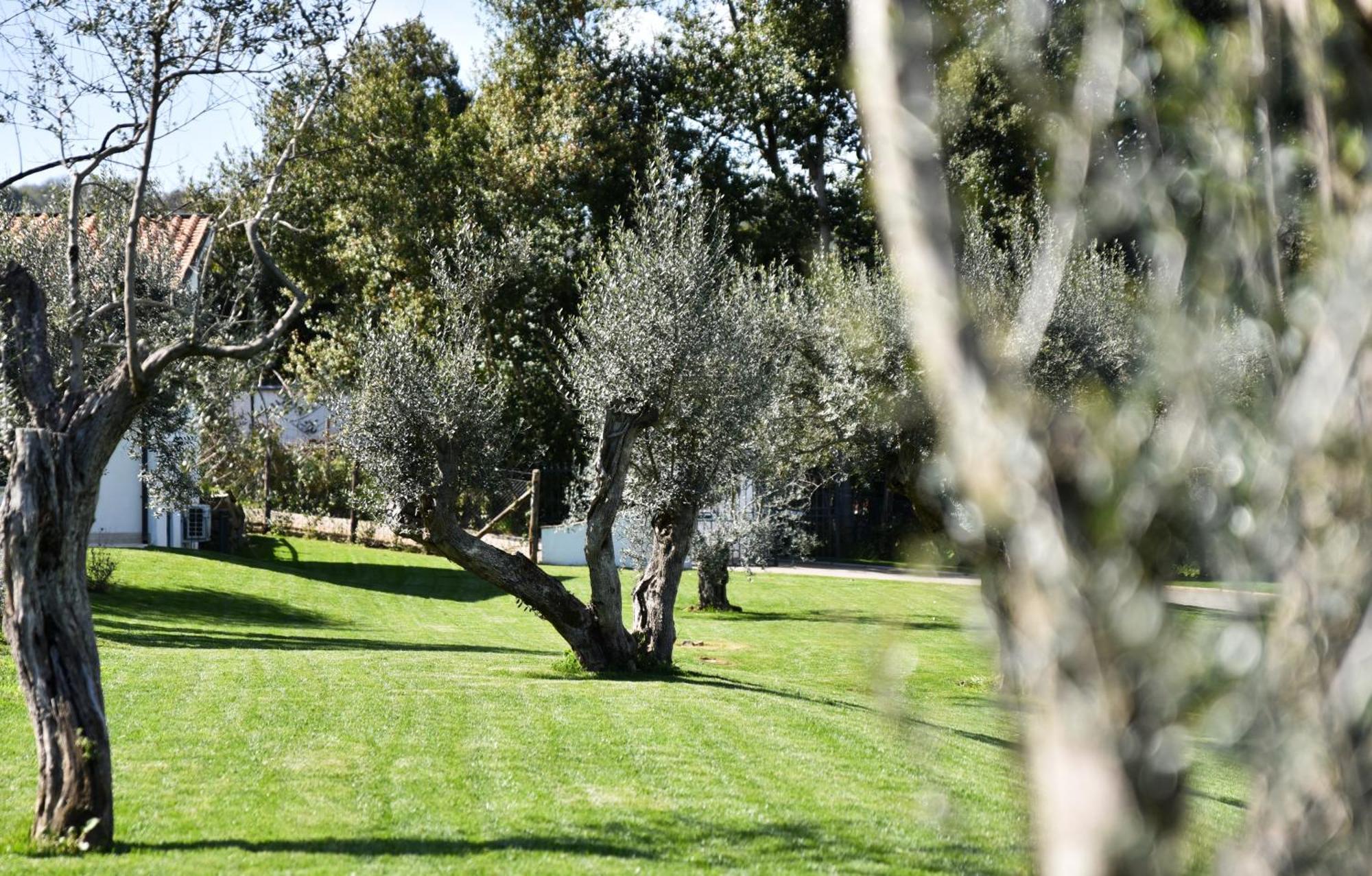 Vigna Caio Relais & Spa (Adults Only) Bracciano  Exteriér fotografie